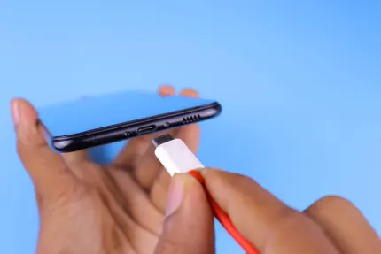 카지노 모바일 윈스 모바일 앱